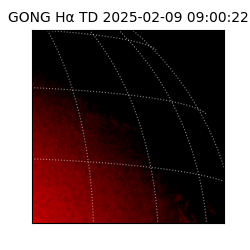gong - 2025-02-09T09:00:22