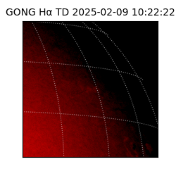 gong - 2025-02-09T10:22:22