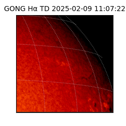 gong - 2025-02-09T11:07:22
