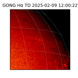 gong - 2025-02-09T12:00:22