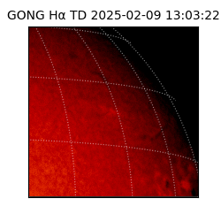 gong - 2025-02-09T13:03:22