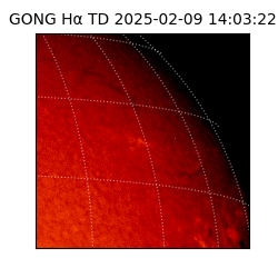 gong - 2025-02-09T14:03:22