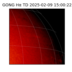 gong - 2025-02-09T15:00:22