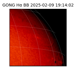 gong - 2025-02-09T19:14:02