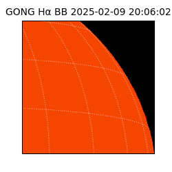 gong - 2025-02-09T20:06:02