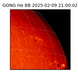 gong - 2025-02-09T21:00:02