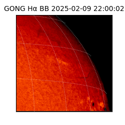gong - 2025-02-09T22:00:02