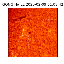 gong - 2025-02-09T01:08:42