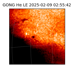 gong - 2025-02-09T02:55:42