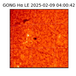 gong - 2025-02-09T04:00:42