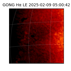 gong - 2025-02-09T05:00:42