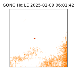 gong - 2025-02-09T06:01:42