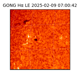 gong - 2025-02-09T07:00:42