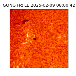 gong - 2025-02-09T08:00:42