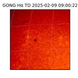 gong - 2025-02-09T09:00:22