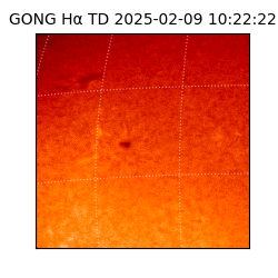 gong - 2025-02-09T10:22:22