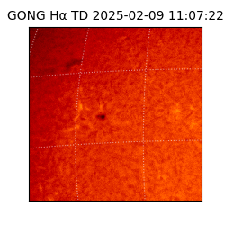 gong - 2025-02-09T11:07:22