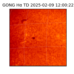 gong - 2025-02-09T12:00:22