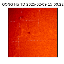 gong - 2025-02-09T15:00:22