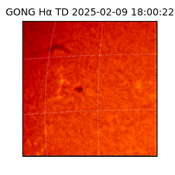 gong - 2025-02-09T18:00:22