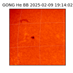 gong - 2025-02-09T19:14:02