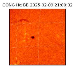 gong - 2025-02-09T21:00:02