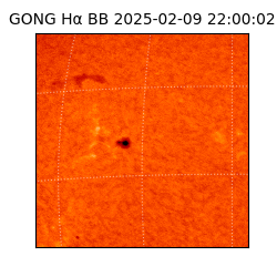 gong - 2025-02-09T22:00:02