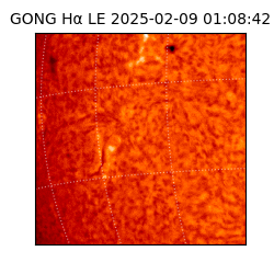 gong - 2025-02-09T01:08:42