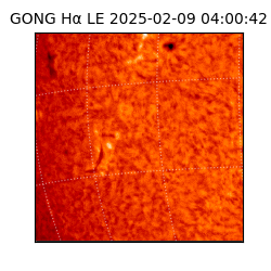 gong - 2025-02-09T04:00:42