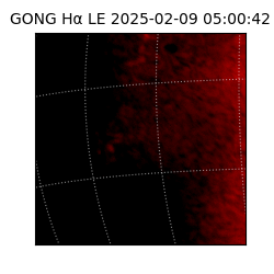 gong - 2025-02-09T05:00:42