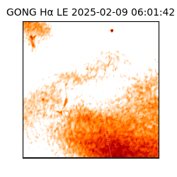 gong - 2025-02-09T06:01:42