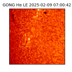 gong - 2025-02-09T07:00:42