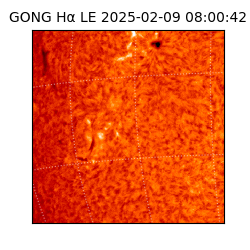 gong - 2025-02-09T08:00:42
