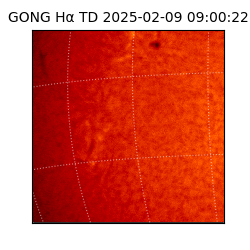 gong - 2025-02-09T09:00:22
