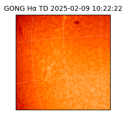 gong - 2025-02-09T10:22:22