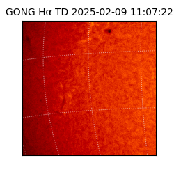 gong - 2025-02-09T11:07:22