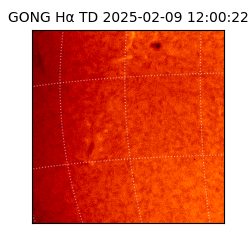 gong - 2025-02-09T12:00:22