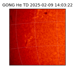 gong - 2025-02-09T14:03:22
