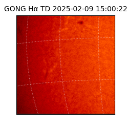 gong - 2025-02-09T15:00:22