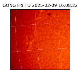 gong - 2025-02-09T16:08:22