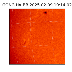 gong - 2025-02-09T19:14:02