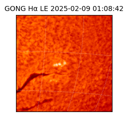 gong - 2025-02-09T01:08:42