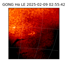 gong - 2025-02-09T02:55:42