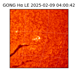 gong - 2025-02-09T04:00:42