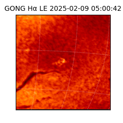 gong - 2025-02-09T05:00:42