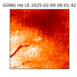 gong - 2025-02-09T06:01:42