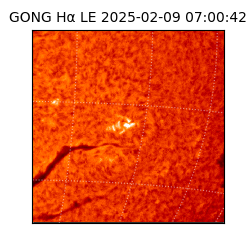 gong - 2025-02-09T07:00:42