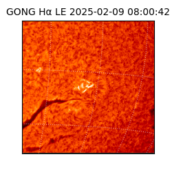 gong - 2025-02-09T08:00:42