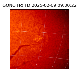 gong - 2025-02-09T09:00:22