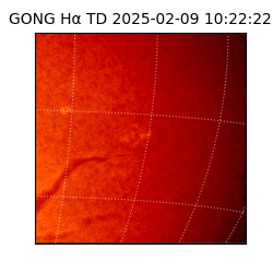 gong - 2025-02-09T10:22:22